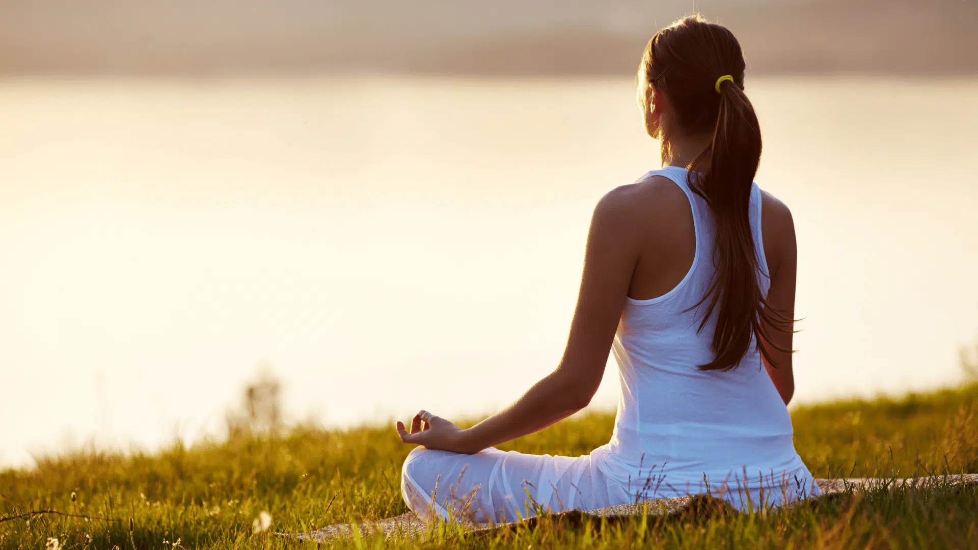gut hypnotherapy